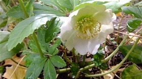 ★幼稚園＠川越市･ふじみ野市･さいたま市DSCF5957